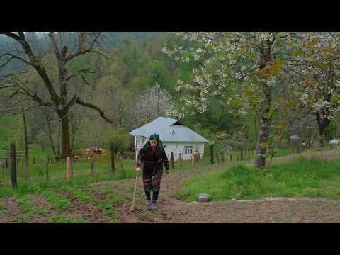 Where Civilization Ends, Her Life Begins — An Elderly Woman Alone in the Mountains
