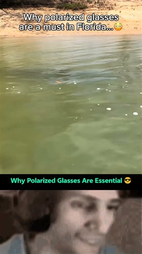 Why Polarized Glasses Are a Must 😎✨ #shorts