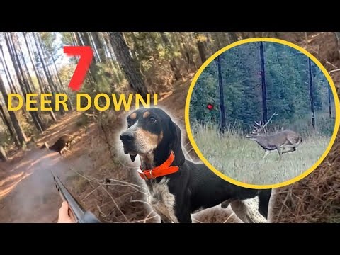 The Fastest Jump-Shot Ever Recorded!? (We Absolutely Hammered Em’!!)