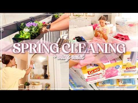 Spring Clean With Me 💕 | Closet Cleanout, Deep Cleaning, Declutter, Full Reset | Lauren Norris