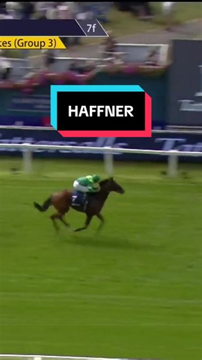 Haffner powers to victory in the Tattersalls Acomb Stakes 🏆 #horses #horseracing #horsesoftiktok #horsesontiktok