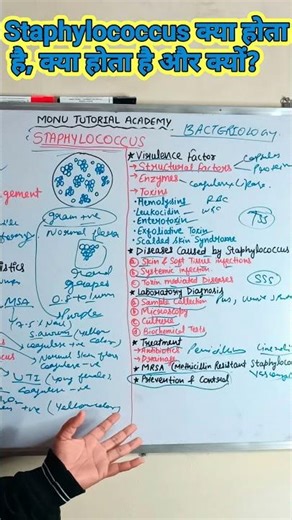 Morphology से लेकर Treatment तक – Staphylococcus Complete Explained in Short 🔥Medical | DMLT | BSc