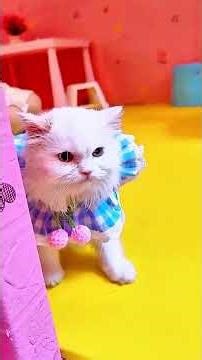 Tool Item😍! New Viral Gadget, smart appliances, Kitchen Utensils/Home Inventions #shorts #gadgets