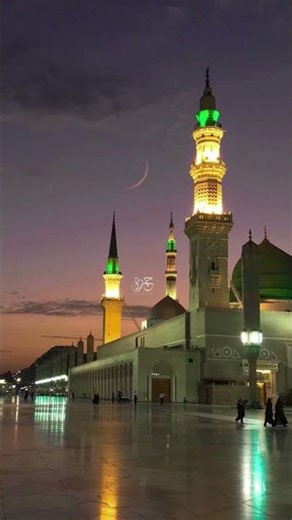 Muzammil Hassan Nagri || Naat 2026 || Be Khud Dete Hain || 2026 #trending #shortfeed #video #viral