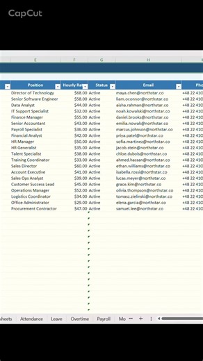 Employee Timesheet & Payroll Spreadsheet | Excel HR Dashboard in Action
