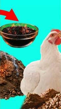 This Ingredient REMOVES Toxins in Broiler Feed and EVERY FEED has Toxins