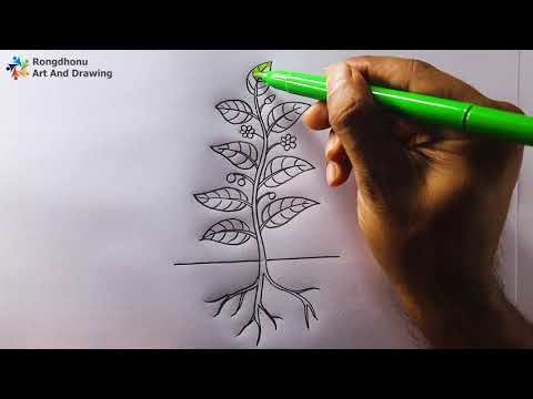 Parts of a Plant Drawing | Flower, Leaf, Stem, Root Diagram Easy Step by Step
