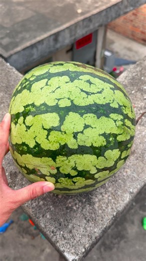 Experiment: Will a watermelon explode if it rolls off a tall building? 🍉💥#shorts