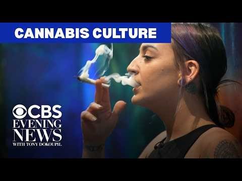 A snapshot of the American cannabis landscape