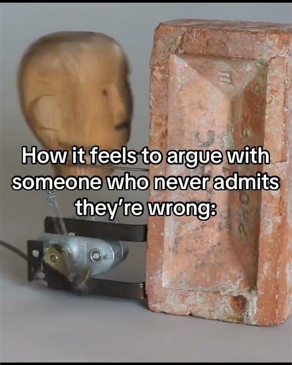 Arguing With “Never Wrong”… Like Banging Your Head Off A Wall 😂
