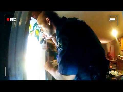 Cop Reaches Into Box, Loses It When He Realizes What's Inside