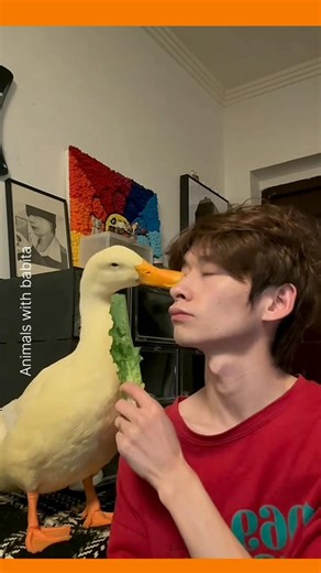 Cute Duck 🦆 vs Rabbit 🐰 | Amazing Facts You Didn’t Know #shorts