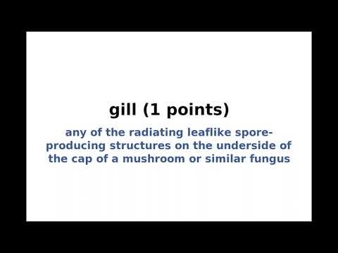 New York Times NYT Spelling Bee Answers and Solution for December 30, 2025