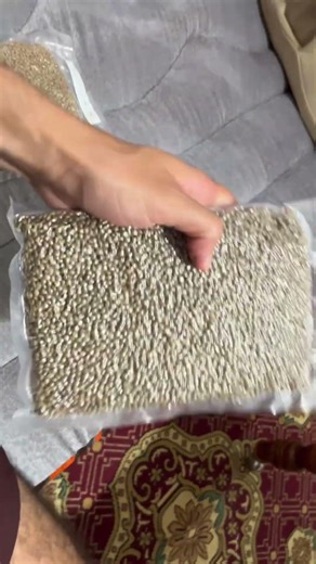 Así se ven 20.000 Semillas de Cannabis