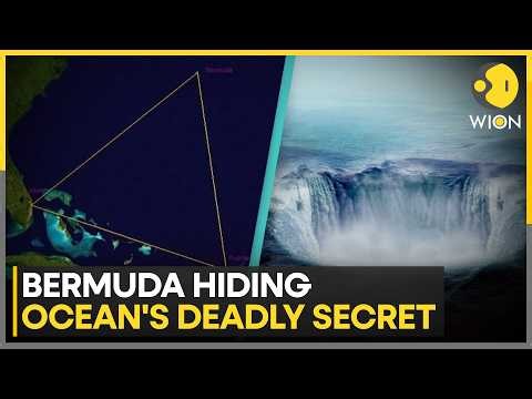 Bermuda Triangle Mystery Turns Tragic: Four Vanished Over the Bahamas | WION