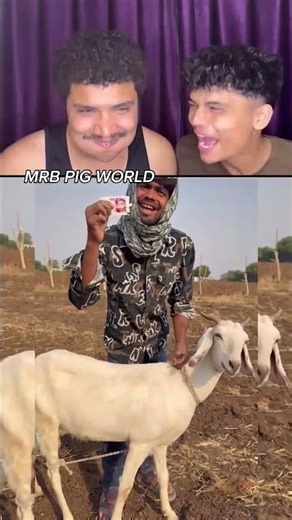 funny congratulations #memes #comedy #funny