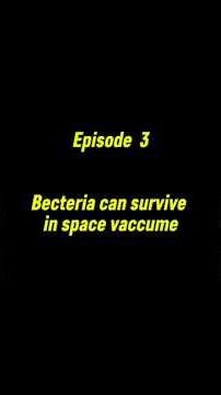 "This Bacteria Survived Space — And It Changes Everything About Venus