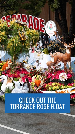 City of Torrance CA on Instagram: "Check out some behind-the-scenes moments leading up to the Rose Parade! This year, our float “Together in Harmony” was awarded the Princess Award for the most outstanding floral presentation among entries 35 feet and under in length. Thanks to @torrancerosefloat and all the volunteers that brought this beautiful float to life! Watch the full story on our YouTube channel. #TorranceCA #RoseParade"