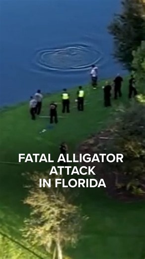 A man fishing along the shoreline at a lake in Winter Garden, Florida, was attacked and killed by an alligator, police say. The victim's body has been recovered from the water. David Muir reports.