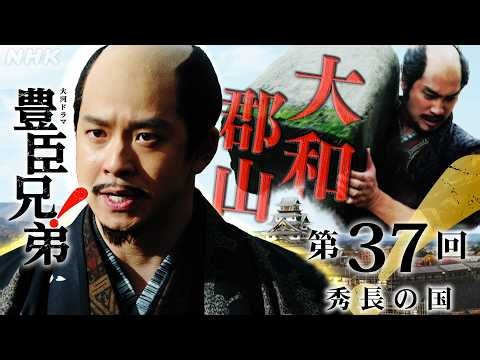 【大河ドラマ 豊臣兄弟！】第37回ダイジェスト「秀長の国」| NHK