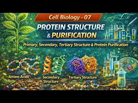 PBT | Cell Biology Lecture - 07 | Primary, Secondary, Tertiary Structure & Protein Purification