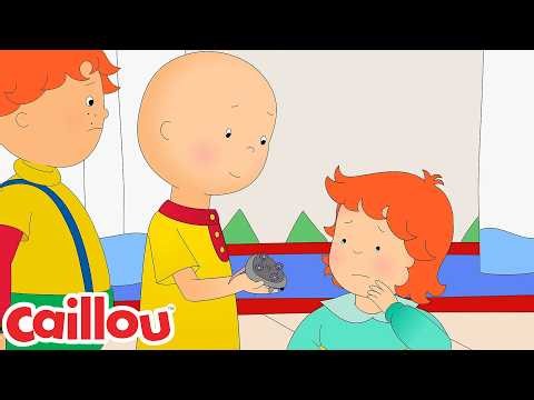 Caillou Pranks Rosie | Caillou | Cartoons For Kids