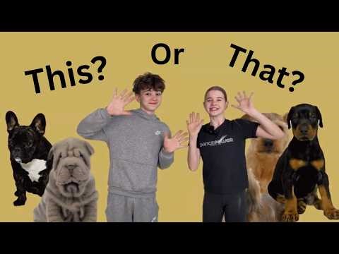 Kids Exercises With CUTE Dogs! THIS or THAT Workout for Kids!!