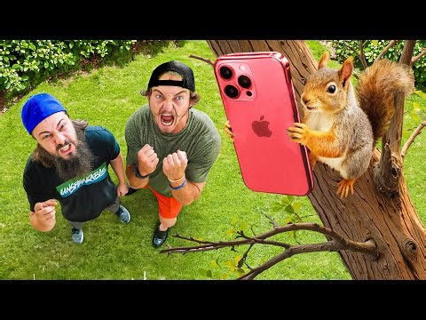 Funniest Pets Ever Caught on Camera