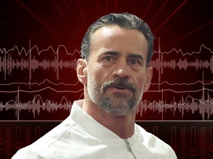 CM Punk Allegedly Shoved Another Fan in His Chest at MGM Grand, Listen to 911 Audio