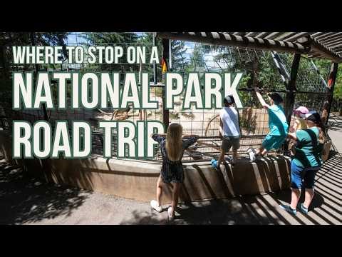 The Easiest Family Road Trip You’ll Ever Plan | Yellowstone-Teton Travel Guides
