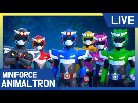 🔴 LIVE: MINIFORCE Animaltron Top Moments 🦁💥 Best Episodes of Miniforce Season 4!