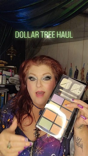 Sherri Milam on Instagram: "Dollar Tree haul"