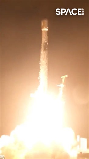 Halloween Blastoff! 🎃🚀 SpaceX Launches #Starlink #SpaceX #Falcon9 #Spaceflight #Shorts