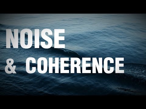 NOISE AND COHERENCE | How Order Persists in Complex Systems