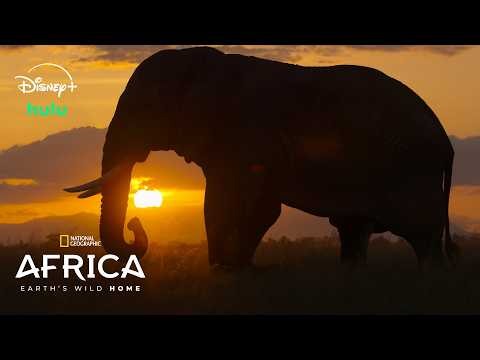 Africa Earth’s Wild Home: Revealing the Continent’s Extraordinary Wildlife