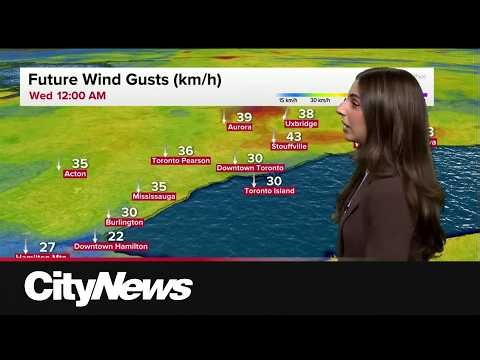 Sunny for the rest of the week, less humidity expected
