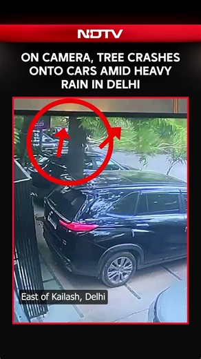 On Camera, Tree Crashes Onto Cars Amid Heavy Rain In Delhi