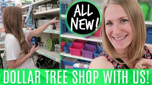 Epic Dollar Tree haul with Do It On A Dime & LoveMeg! Best budget finds & organization must-haves