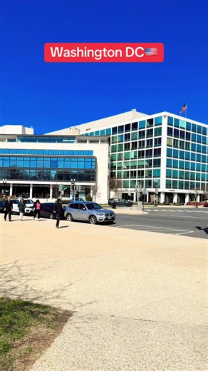 Washington D.C. Springtime: White House & USA Life
