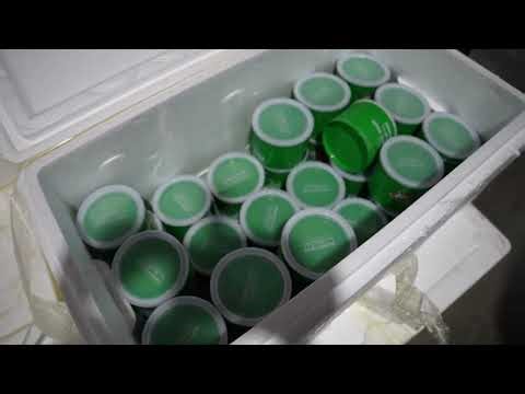 Brine Shrimp is in and Sneak Peak of the Warehouse!