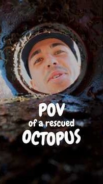POV: You’re an Octopus About to Be Free