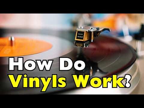 Your Vinyl Collection Is Slowly Dying | Here's Why