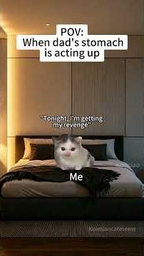 CAT MEMES🐱 When dad's stomach is acting up #catmemes #memes #funnymemes #funny #relationship