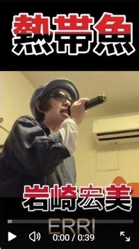 【昭和歌謡】熱帯魚/ 岩崎宏美 (Covered by ERRI)