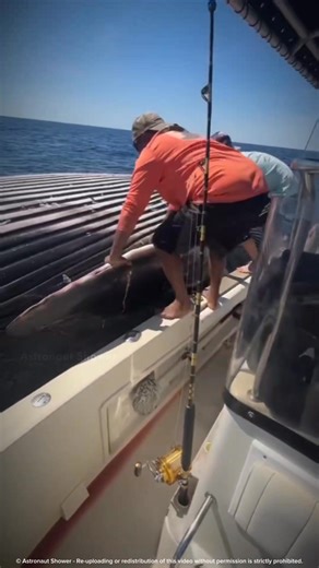 Why Dead Whales Can Suddenly Explode | Astronaut Shower