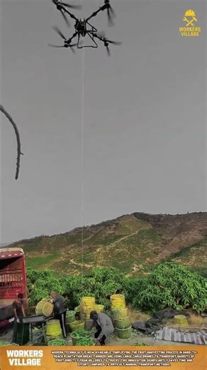 Revolutionizing Harvest: Giant Cargo Drones Transporting Fruit in Steep Mountains