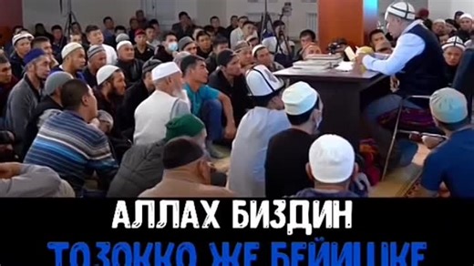 Видео . | OK.RU