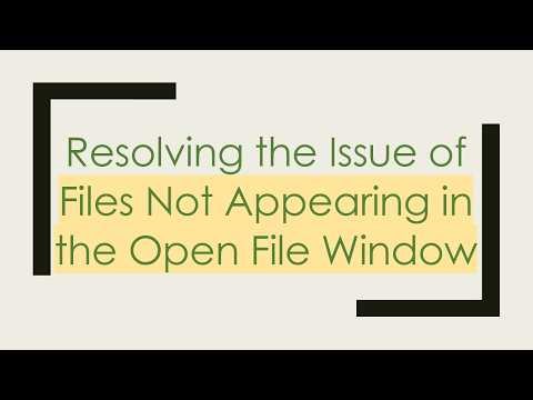 Resolving the Issue of Files Not Appearing in the Open File Window
