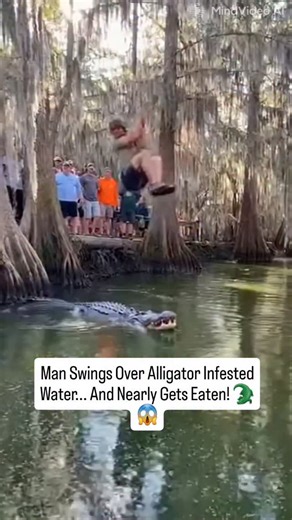 Man Swings Over Alligator Infested Water... And Nearly Gets Eaten! 🐊😱 (CLOSEST CALL) #alligator #florida #ropeswing #scary #reels | Abdullah Megdad