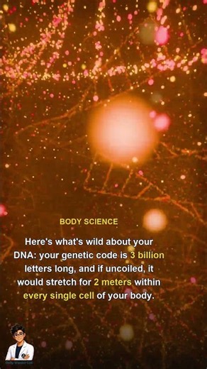 dna length in cells
